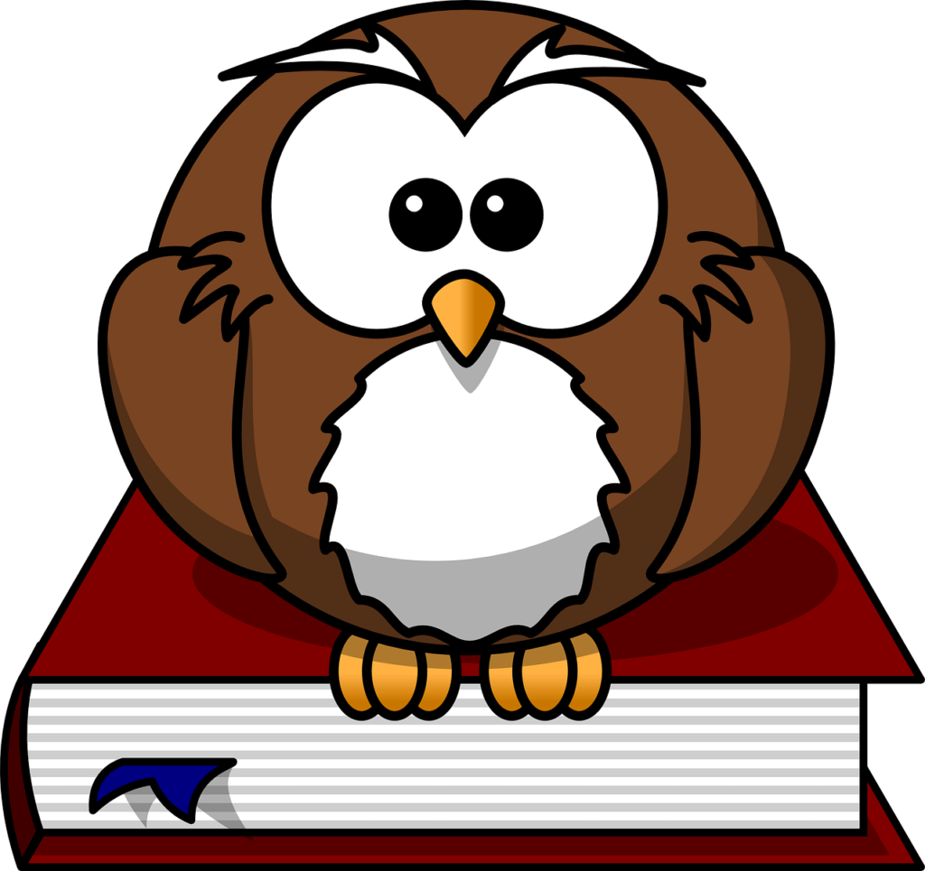 owl, bird, book-47526.jpg